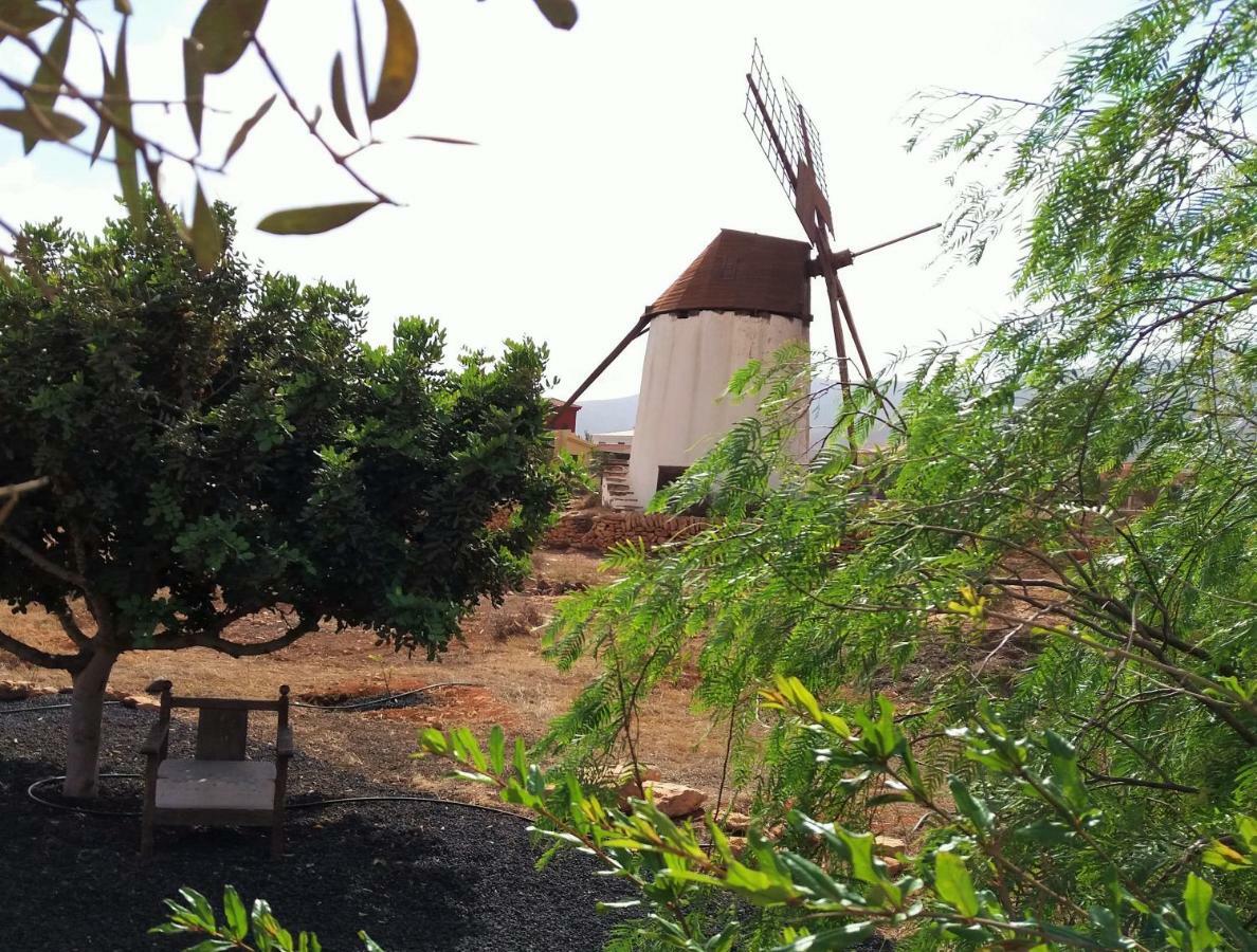 Encantadora Casita Con Molino Y Piscina Antigua (Fuerteventura) Exterior foto